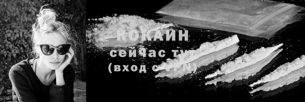 ECSTASY Бердск
