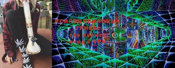 мдпв Артём